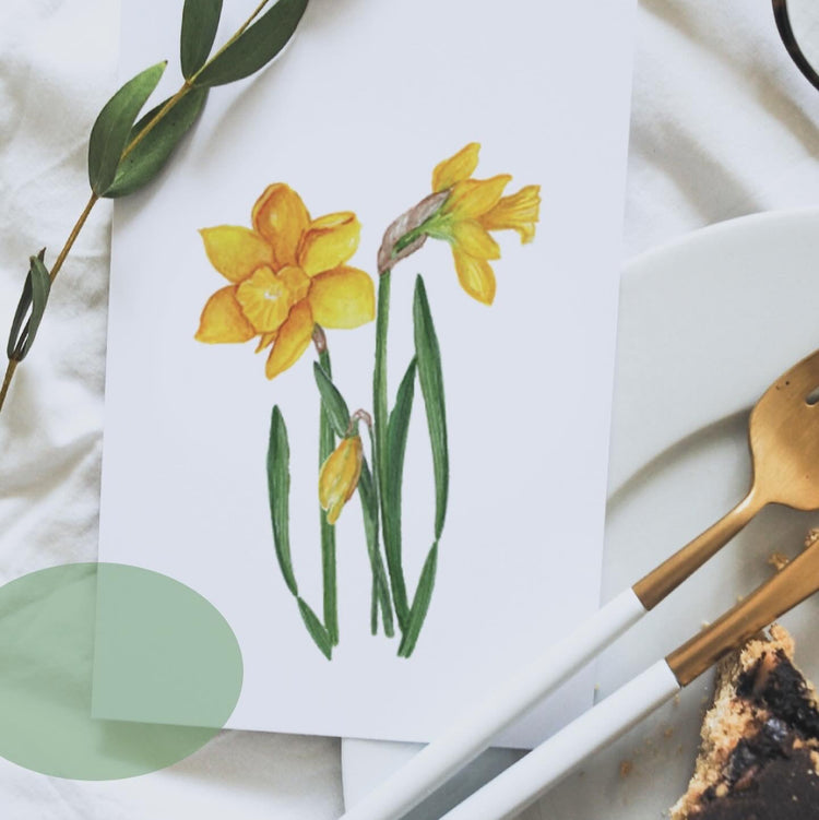 4/14 | Intro to Botanical Watercolor: Daffodils