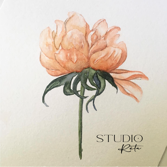 5/2 | Intro to Botanical Watercolor: Peonies and Their Friends