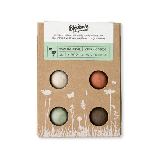 Mini Wildflower Seed Bomb Box