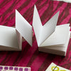 2/11 | Bookbinding: Accordion Books