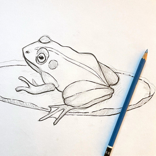 3/28 | Intro to Drawing: Animals and Pets