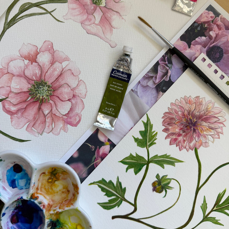 11/23 | Intro to Watercolor: Fall Florals