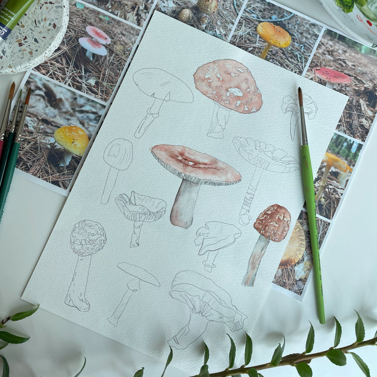 9/29 | Intro to Botanical Watercolor: Mushrooms and Ferns