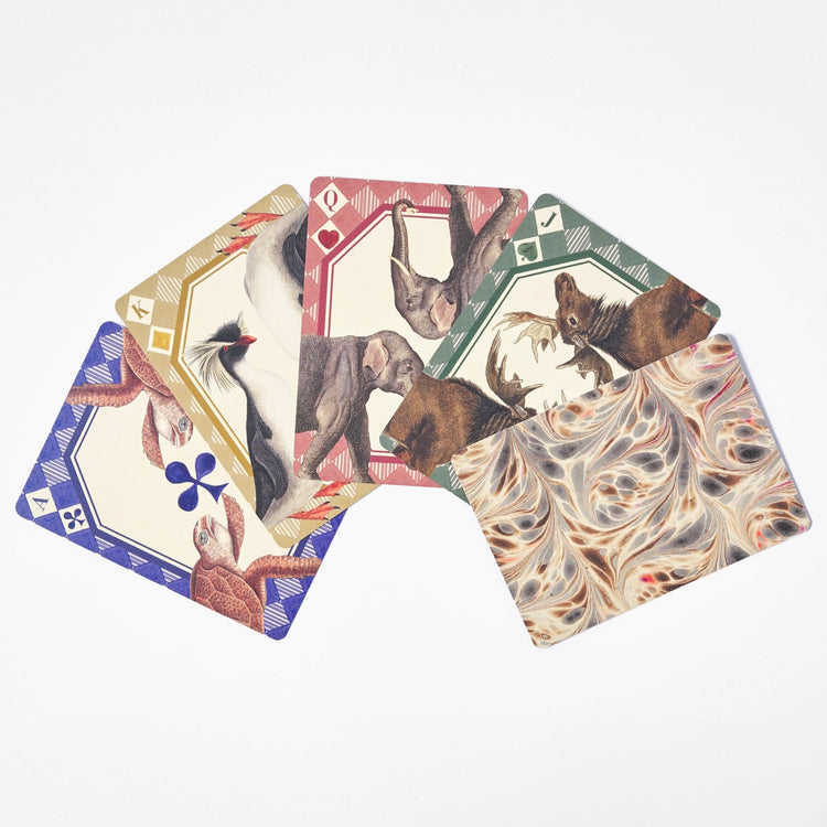 Animal Kingdom Playing Card Deck