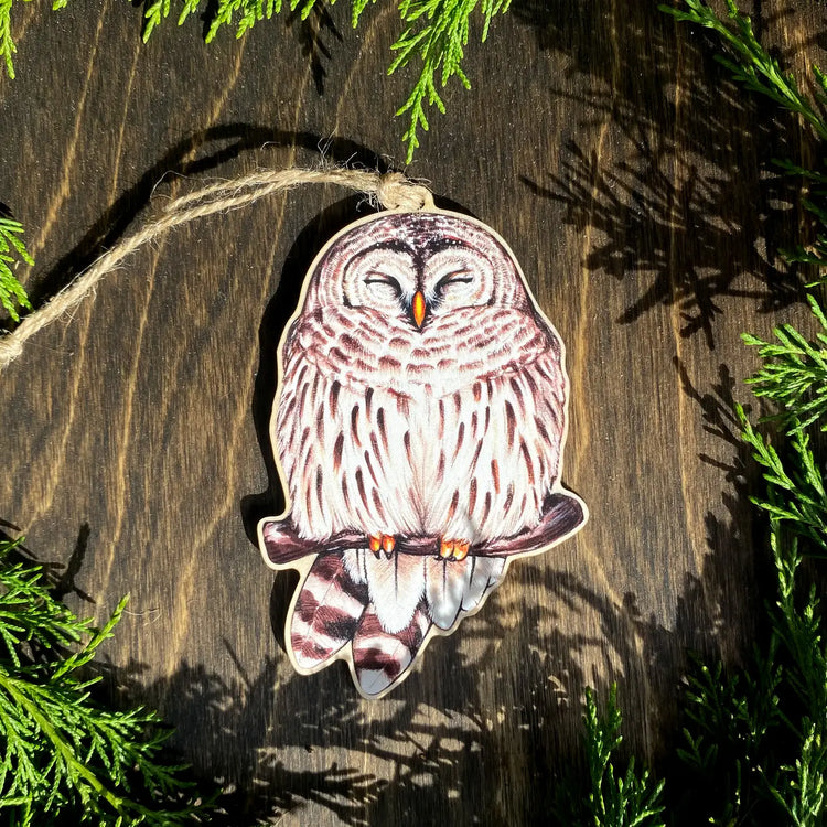 Cozy Barred Owl Wood Christmas Ornament