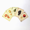 Watercolor Fruits Playing Card Deck