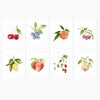 Watercolor Fruits Notecard Set