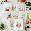 Watercolor Fruits Notecard Set