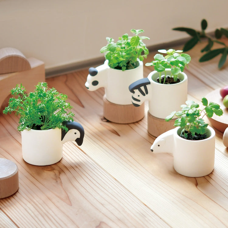 Monokuro Growing Kit