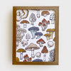 Mushroom & Fungi Boxed Set