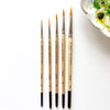 Watercolor Brush Set