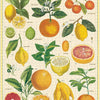Vintage Citrus Puzzle